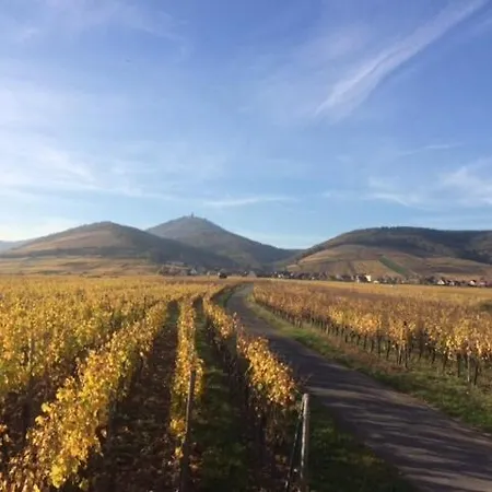 - Atelier Ayurvedique - Aline Et Oliver アパート オルシュヴィラー