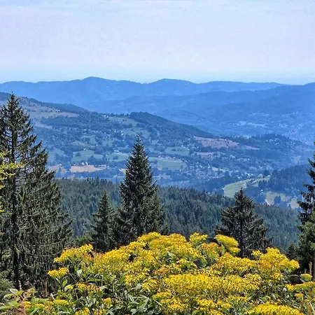 - Atelier Ayurvedique - Aline Et Oliver アパート オルシュヴィラー