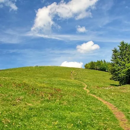 - Atelier Ayurvedique - Aline Et Oliver オルシュヴィラー